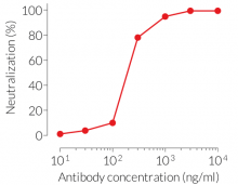 Dose-dependent neutralization of mIL-1β signaling 