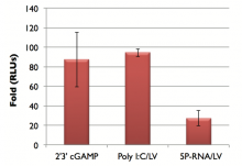 IRF Response of J774-Dual cells to various PRR ligands