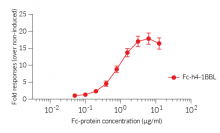 Activation of Jurkat-Lucia™ h4-1BB cells 