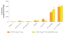 Functional validation of SAMHD1 knockout (IRF response)