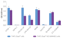 Functional validation of SAMHD1 knockout (NF-κB response)