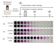Endpoint reading using Stop solution