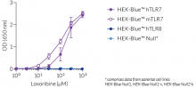 NF-κB response of HEK-Blue™-derived cells to loxoribine