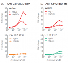 Binding of Anti-CoV2RBD-bam-hIgG1 and Anti-CoV2RBD-ete-hIgG1 to RBD variants