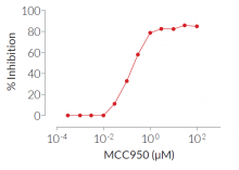 MCC950 dose-dependent inhibition of NLRP3 inflammasome response in monocytes