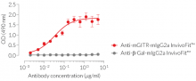 Binding of Anti-mGITR-mIgG2a InvivoFit™ mAb to mGITR