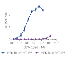 NF-κB response of ODN 1826 in HEK-Blue™-derived cells