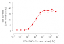 NF-κB response induced by ODN 2006