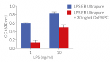 Inhibition of TLR4 signaling