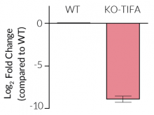 Validation of TIFA KO by qPCR