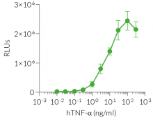 Renilla luciferase end-point detection using QUANTI-Luc™ 4 Renilla