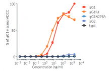 Comparison of ADCC potency for native and engineered anti-human PD-L1 antibody isotypes