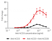 Dose-dependent responses to antibody-mediated CD3 and CD28 cross-linking
