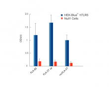 Response of HEK-Blue™ hTLR5  to TLR5 agonists