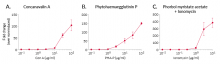 NFAT activation upon stimulation using small molecules