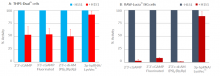 Specific inhibition of STING-IRF activity by H-151