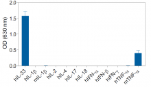 Cell line specificity HEK-Blue IL-33 cells