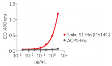 Recognition of Spike-S1-His (D614G) by an Anti-SARS-CoV-Spike (CR3022) human IgM