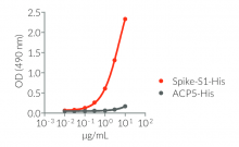 Recognition of Spike-S1-His by anAnti-SARS-CoV-Spike (CR3022) human IgM