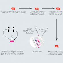 QUANTI-Blue™ 标准程序