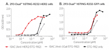 Biological activity of STG-982 conjugated to Anti-HER2-hIgG1
