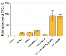 Evaluation of CXCL10 (IP10) induction