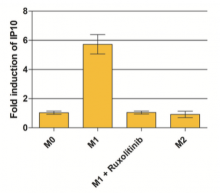 CXCL10 is a marker of M1 macrophages