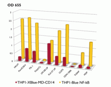 NF-κB response of THP1-Blue™ NF-κB cells