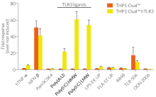 Functional validation of IRF response