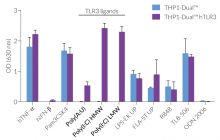 Human TLR3 Reporter THP-1 Cells