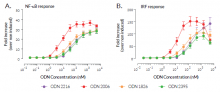 NF-κB and IRF responses to TLR9 agonists in THP1-Dual™ hTLR9 cells