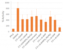 IRF activation (Lucia luciferase reporter)