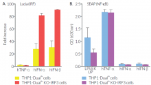 Cytokine or LPS-induced IRF and NF-κB responses in THP1-Dual™-derived cells