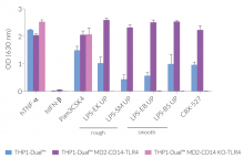 Functional validation of NF-κB response