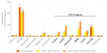 IRF responses in TLR7 overexpressing THP1-Dual™ -derived cells