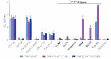 NF-κB responses in TLR8-OE and TLR8-KO THP1-Dual™ -derived cells