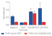 Mature IL-1β secretion by THP1-KO-GSDMD cells