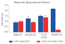 Functional validation of THP1-KO-NLRC4 cells