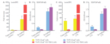 RNA-induced IRF and NF-κB responses in THP1-Dual-derived cells