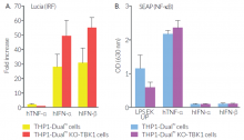 Cytokine or LPS-induced IRF and NF-κB responses in THP1-Dual-derived cells