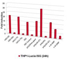 IRF response of THP1-Lucia™ ISG cells