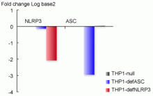 Quantitative RT-PCR analysis
