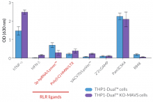 Functional validation of MAVS knockout (NF-κB response)