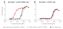 Biological activity of TL7-887 conjugated to Anti-HER2-hIgG1