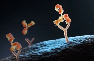 Antibodies InvivoGen