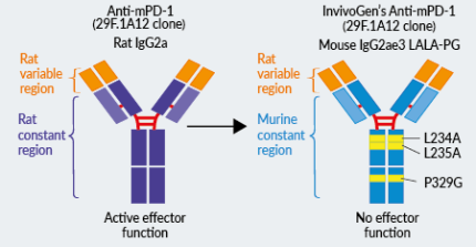 Murinized PD-1 (29F.1A12) antibody LALA-PG