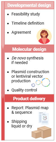 Custom Cell Line Service - Workflow step by step