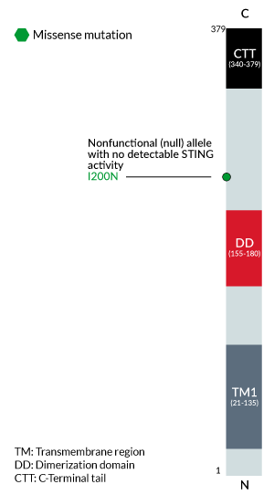 human STING gene I200N variant