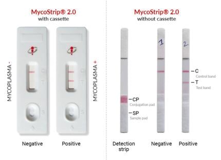 mycostrip-invivogen-cassettes