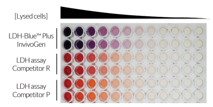 Clear naked-eye detection of LDH activity using blue formazan.